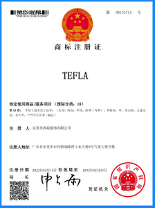  Certificado TEFLA 